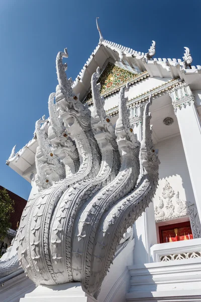 Naka o escalera de dragón tailandés en Wat Nak prok . — Foto de Stock