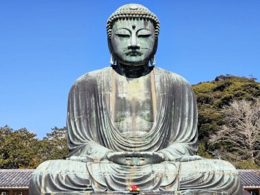 Kamakura Daibutsu veya Kamakura 'nın Büyük Buda heykeli, Japonya' nın Kamakura kentindeki Kotoku Tapınağı 'nda bulunan Amida Buddha' nın bronz heykeli..
