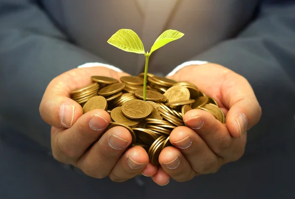 Manos sosteniendo el árbol creciendo en monedas — Foto de Stock