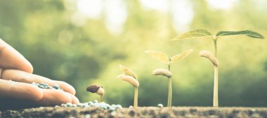  Bebek bitki beslenmesi