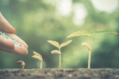  Bebek bitki beslenmesi