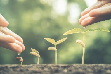  sulama ve gübre veren eller