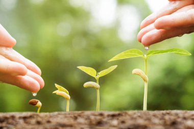  sulama ve gübre veren eller