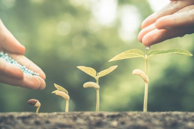  sulama ve gübre veren eller