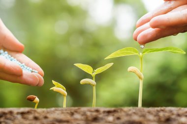  sulama ve gübre veren eller