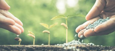  sulama ve gübre veren eller