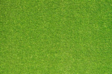 yeşil çim dokusu