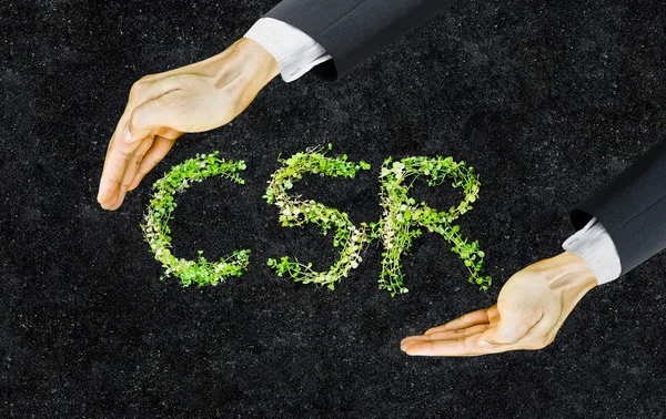 Small green plants arranged in csr shape — Stock Photo, Image