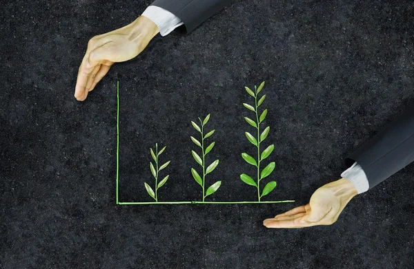 Tree arranged as a green graph on soil — Stock Photo, Image