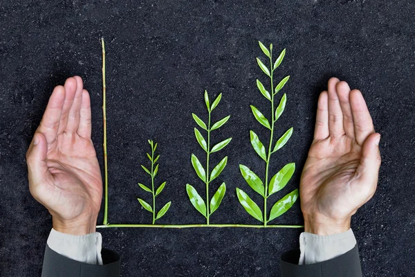 Hands of a businessman holding tree arranged — Stock Photo, Image