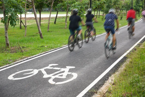 A bike lane for cyclist.