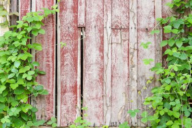 terk edilmiş binada pencere bindik