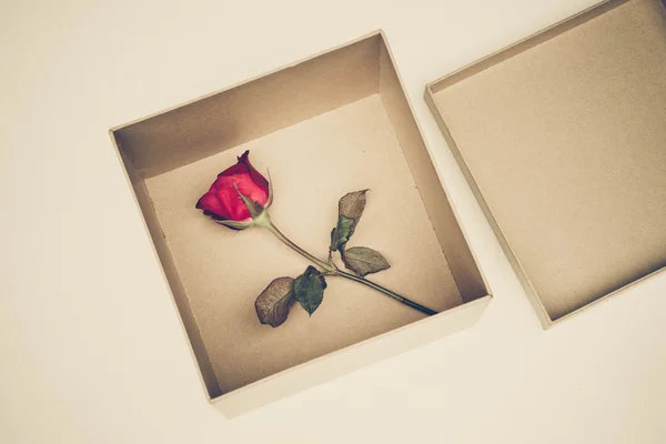 Une boîte de rose rouge — Photo