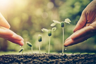 eller büyüyen bir çiftçinin 