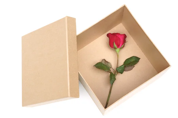Eine Schachtel roter Rosen — Stockfoto
