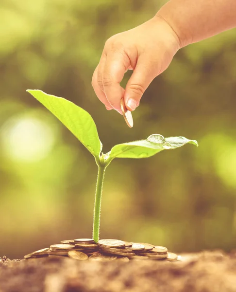 Negócios verdes e investimento — Fotografia de Stock