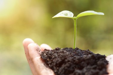 El büyüyen çiftçinin 