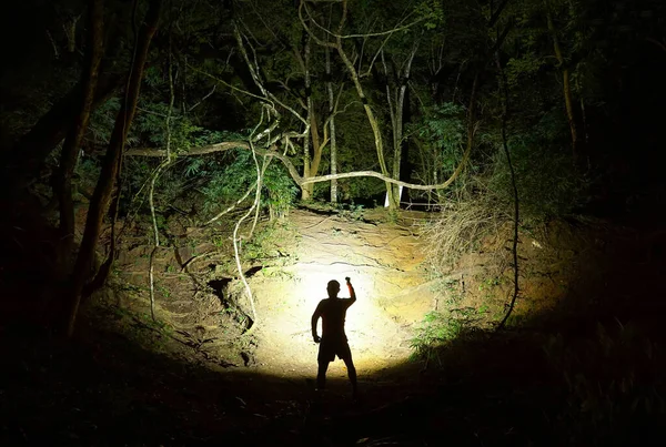Ein Trailrunner Mit Taschenlampe Dunklen Wald lizenzfreie Stockfotos