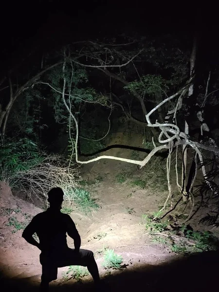Ein Trailrunner Mit Taschenlampe Dunklen Wald Stockbild