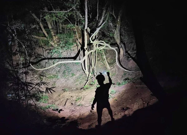 Ein Trailrunner Mit Taschenlampe Dunklen Wald Stockbild