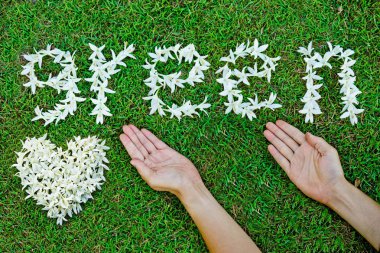 Sözcük yeşil tanzimi