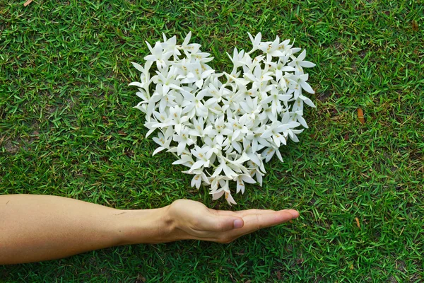 Hand with flowers shaped as heart — Stock Photo, Image