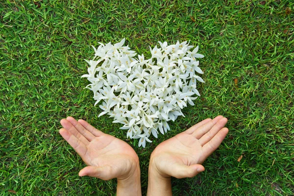 Hands with flowers shaped as heart — Stock Photo, Image