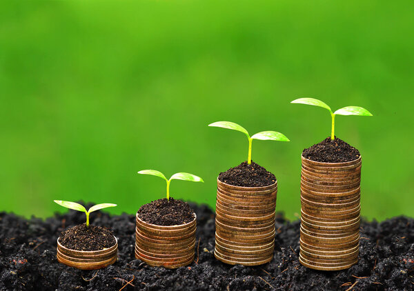 Trees growing on piles of golden coins