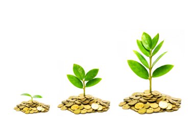 Altın sikke yığınları üzerinde büyüyen ağaçlar