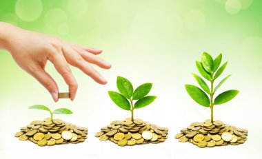 Bir ağaç için bir altın madeni para veren el