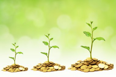 Altın sikke yığınları üzerinde büyüyen ağaçlar