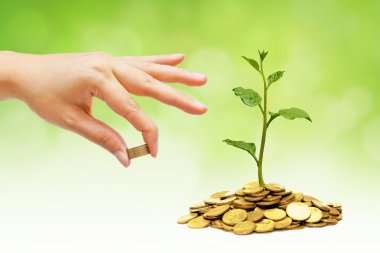 Bir ağaç için bir altın madeni para veren el