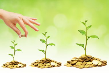 Csr uygulama ile iş