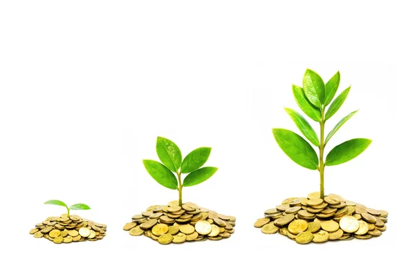 Etik iş büyüme çevre endişe ile