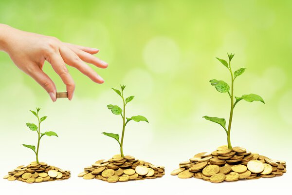 Бизнес с практикой csr
