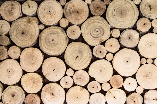 Runder Holzstumpf Hintergrund — Stockfoto