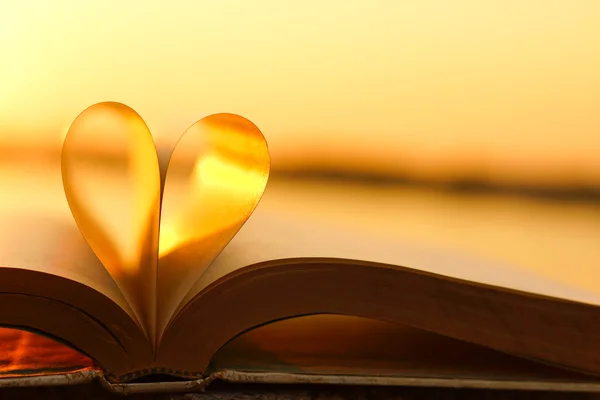 Серце зі сторінок книг на фоні заходу сонця — стокове фото