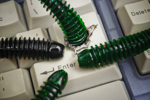 Computer worms attacking computer — Stock Photo, Image