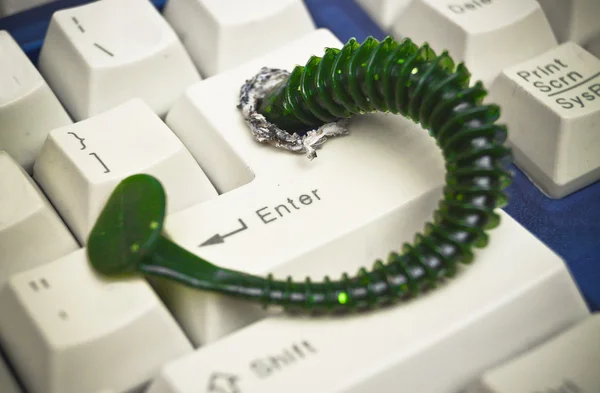 Computer worm attacking computer — Stock Photo, Image