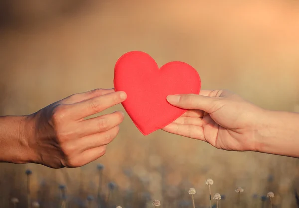 Cuore in mani su sfondo campo — Foto Stock