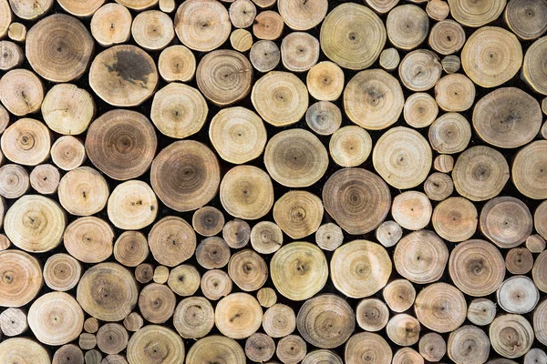 Round wood stump background — Stock Photo, Image