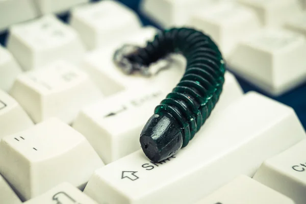 Computer worm attacking computer — Stock Photo, Image