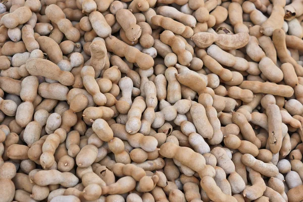 Antecedentes de Tamarind Pods — Fotografia de Stock