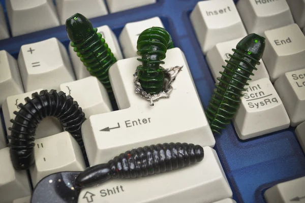 Computer worms attacking computer — Stock Photo, Image