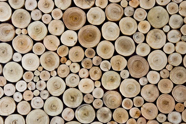 Round wood stump background — Stock Photo, Image