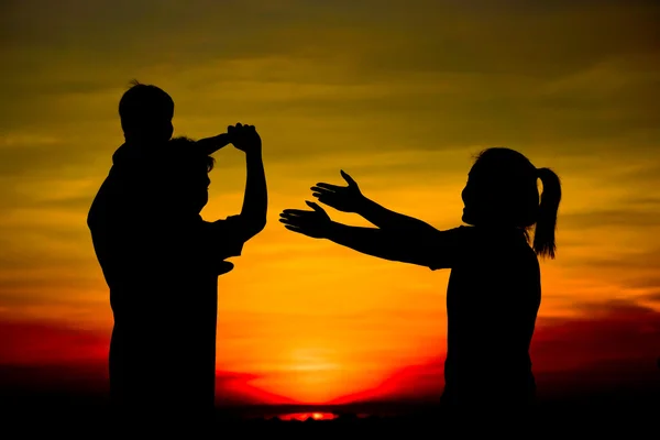 Silhuetas de uma família contra o pôr do sol — Fotografia de Stock
