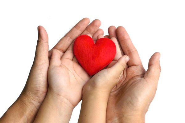 рука, держащая красное сердце