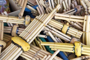 bir tür reed ağız organ