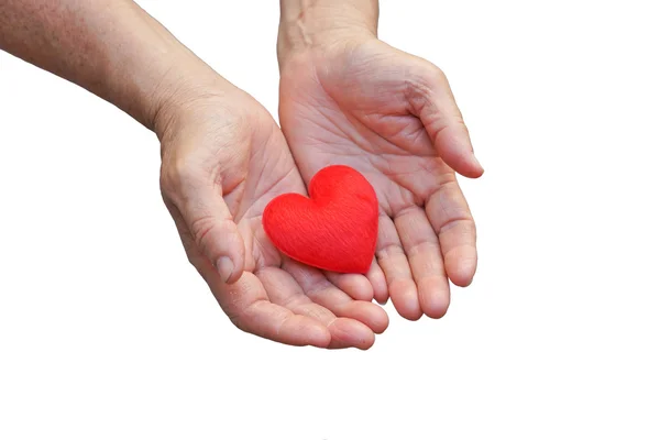 Mãos femininas segurando coração vermelho — Fotografia de Stock