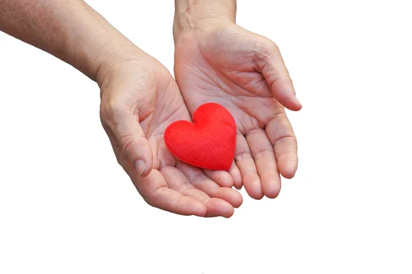 Manos femeninas sosteniendo el corazón rojo — Foto de Stock